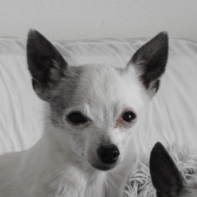 mishamigo22's profile picture. boom. done.