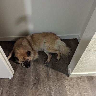 NickGoins15's profile picture. 