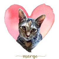 catitude_mom (@catitudem) 's Twitter Profile
