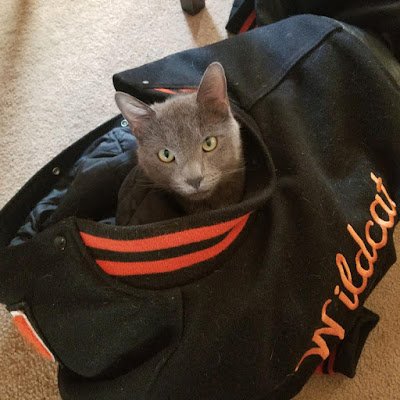 nina_sarp's profile picture. 