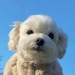 lostさんのプロフィール画像