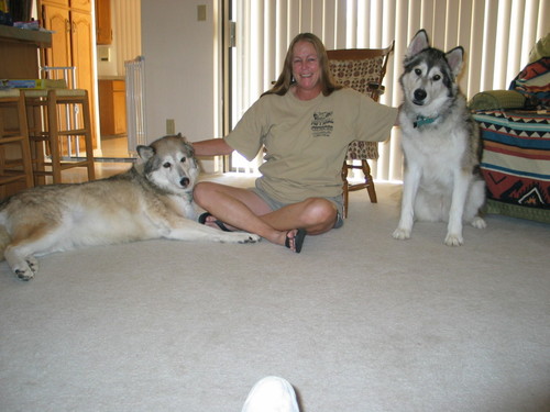 HeidiSchewelPIO's profile picture. 