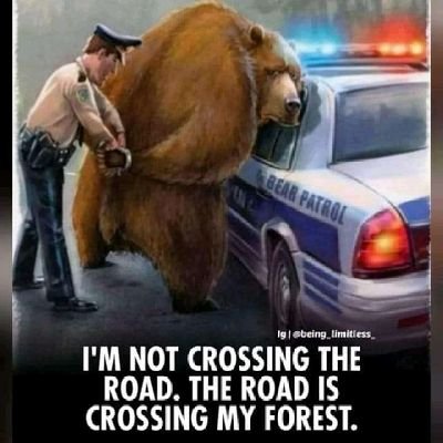 i_ufeedo's profile picture. BS59Q4QA