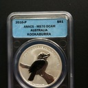 Lee Meyer - @SilverGoldMiner - Twitter