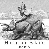 ヒューマンスキン工業 公式 (@048hsi) 's Twitter Profile