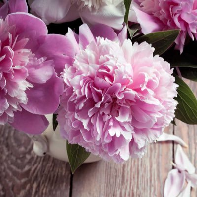 اللهم إنى أسالك علماً نافعاً وأعوذ بك من علم لا ينفع ❤️