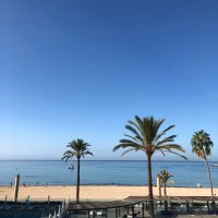 Siân McNeill (@sian) 's Twitter Profile