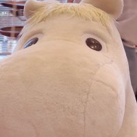 つむ看 (@tsumunasubi) 's Twitter Profile