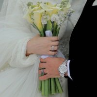 Sara Almassri (@almassrisara) Twitter profile photo