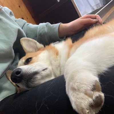 naa_na05610's profile picture. 春から白鴎🌸/経営