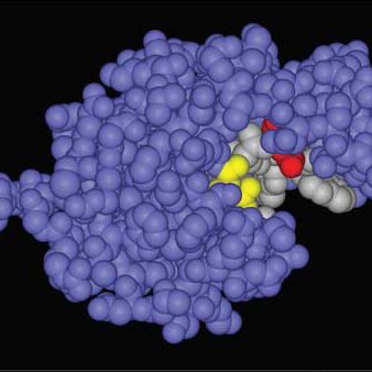 Entropix specialises in the development of high-performance enzymes by employing state-of-the-art experimental molecular biology and computational methods.