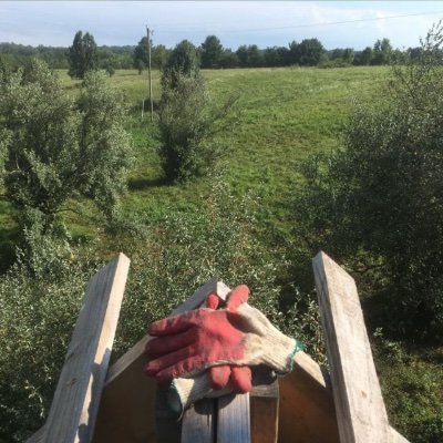 DavenRough's profile picture. 