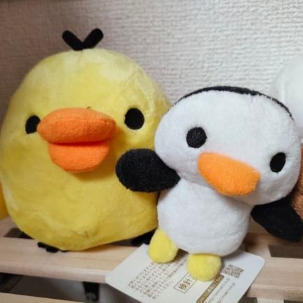 る/かさんのプロフィール画像