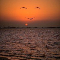 كويتي ٣٥ (@kuwait_sportt) Twitter profile photo