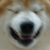 real yes (@realyes3) Twitter profile photo real yes (@realyes3) Twitter profile photo