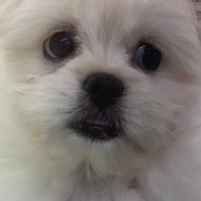 55Otatsu's profile picture. 記録記憶