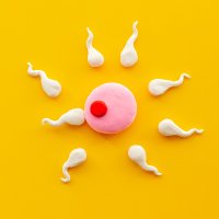 Broadly Conceived (@bconceived) 's Twitter Profile Photo Broadly Conceived (@bconceived) 's Twitter Profile Photo