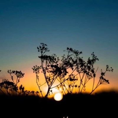 pakboy1980's profile picture. Babo