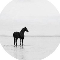 𝙰𝚕-𝙾𝚝𝚊𝚒𝚋𝚒 (@no_80di) Twitter profile photo