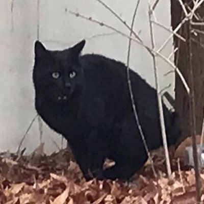 rupping_pong_'s profile picture. 네? 제가 지금 삼모 망친 사람으로 보이시나요? 잘 보셨어요.