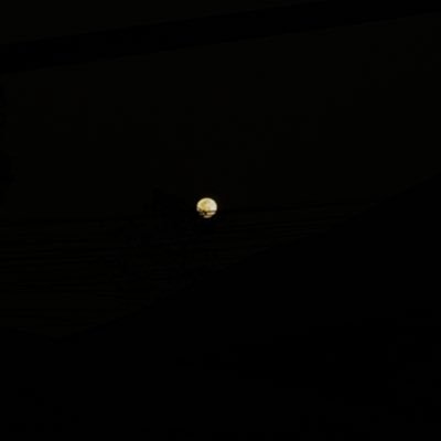 itsmemimiyuuuh's profile picture. 