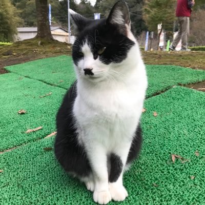 nonono0358's profile picture. 兼業へたっぴトレーダー