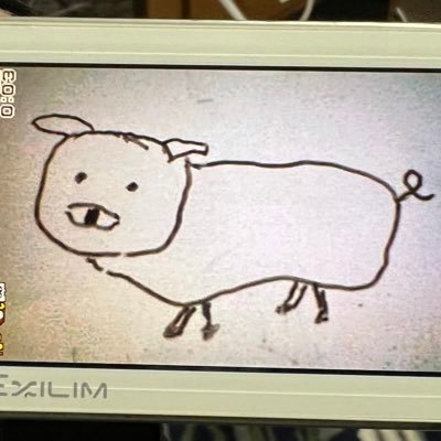 ぽちさんのプロフィール画像