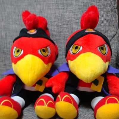 福島ユナイテッドFCを応援しています📣ユナサポさんには無言フォロー失礼します🙏