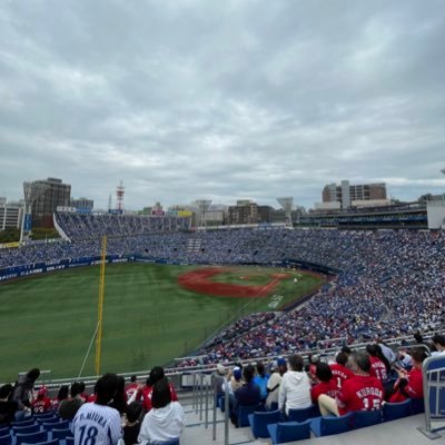 横浜、東京、スキー、キャンプ、プロ野球、広島カープ、バレーボール、酒、フェス、スナック