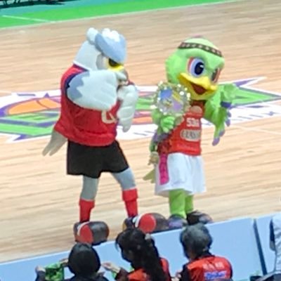 levanga_y12's profile picture. スポーツ観戦、応援は前向きに！試合になるとうるさくなりがち。 2024-25シーズンもレバンガ北海道を全緑応援！