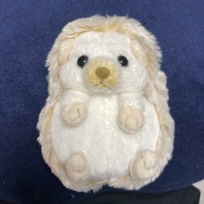 最近銭湯♨️に行くのが癒しです。本当は温泉♨️行きたいね。東京リベンジャーズ(佐野万次郎)、BANANA FISH(Ash) 、ベルばら、チェブラーシカ、ディズニー、すみっコぐらしなどなど。成人済社会人、手渡しのお取引は都内、主に秋葉原周辺