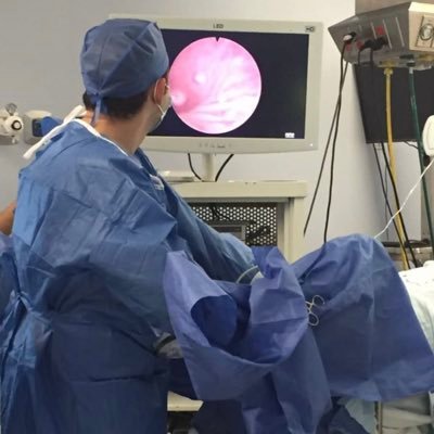 Uro_DavidGtz's profile picture. Residente de Urología 🇲🇽