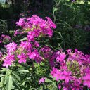 andy weiss - @andywei45379373 - Twitter