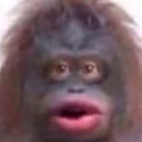 D.N. Inurmouth (@oof50858611) 's Twitter Profile