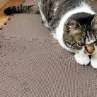 pomech410's profile picture. 