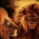 wayne irving - @nfllionfan - Twitter