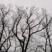Sam Vardy (@samvardy) Twitter profile photo