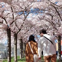 Bir Hiç. (@birhic_1) Twitter profile photo