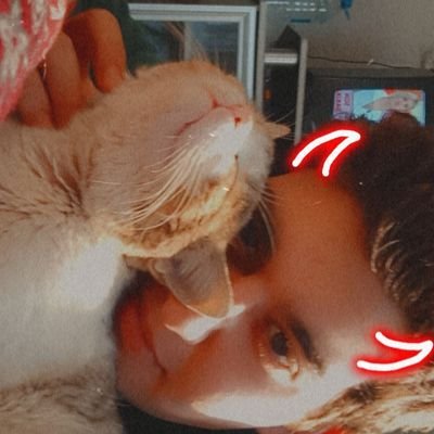 Bayram14051953's profile picture. Kedileri sevin 🐈