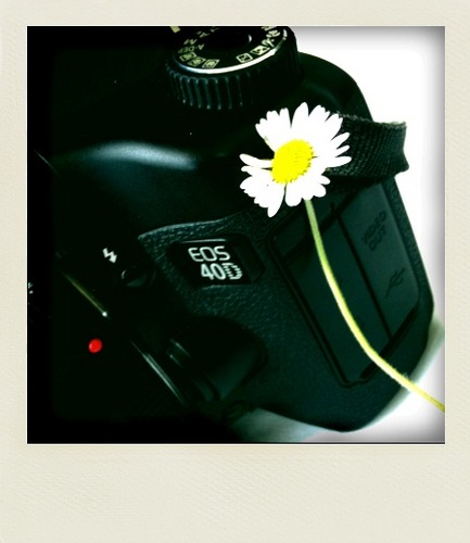 ProfessioneFoto's profile picture. L'account twitter ufficiale del blog Professione fotografia.
http://t.co/I3GdpLLaio