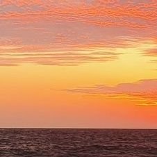 rocar_jorma's profile picture. 