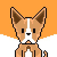 Chihuahua NFTs(@ChihuahuaSol) 's Twitter Profileg