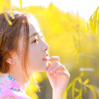 thi phech mao phelan (@maophech) 's Twitter Profile
