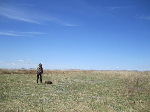 eleegalist's profile picture. 