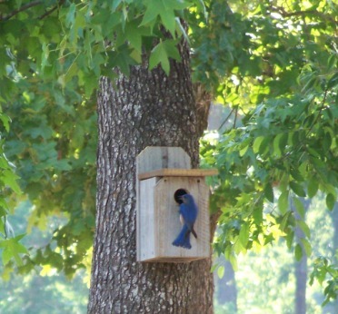 prim_woodworks's profile picture. Rustic outdoor & home decor, handmade from recycled materials. 
http://t.co/CuYr3vf9
http://t.co/PNcZTxuB