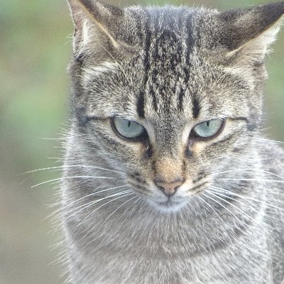 Obta11's profile picture. 