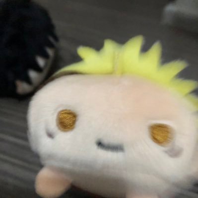 pqさんのプロフィール画像