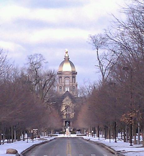 rizzil4shizzil's profile picture. Simple as they come....complex as it gets!