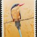 Birds Stamps and FDCs (@BirdsFDC) Twitter profile photo