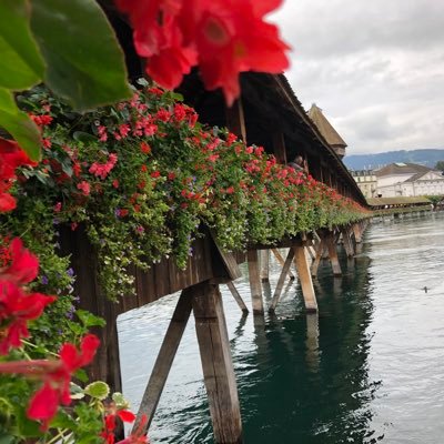 liyann27042183's profile picture. 喜欢各种胡扯。遇见所有的新奇